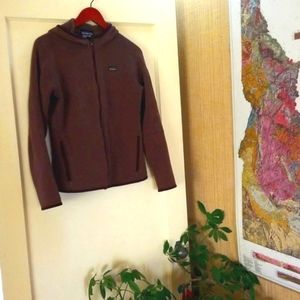 Patagonia | Hooded Better Sweater